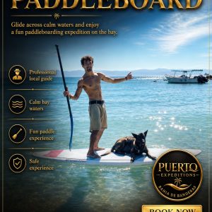 Paddleboard