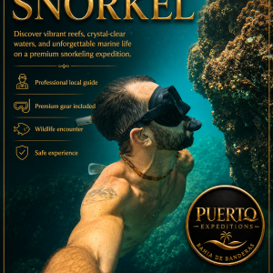 Snorkel Expedition