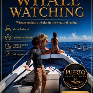 Whale Watching