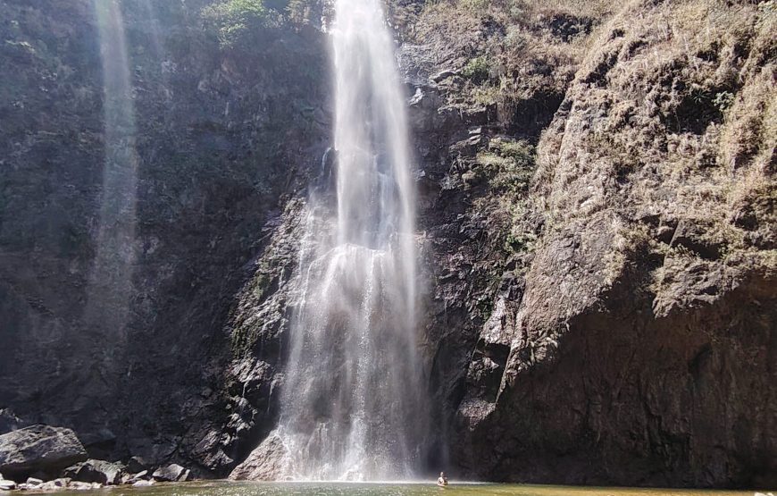Jungle Waterfall Hike