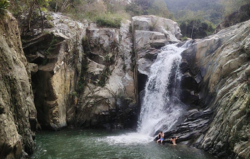 Jungle Waterfall Hike