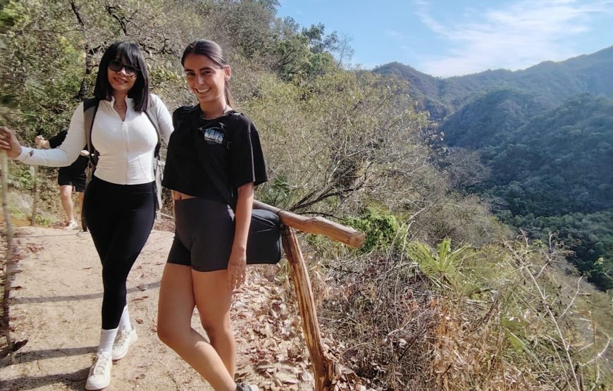 Jungle Waterfall Hike