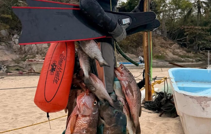 Private Spearfishing Trip