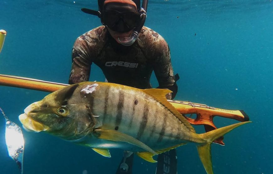 Private Spearfishing Trip
