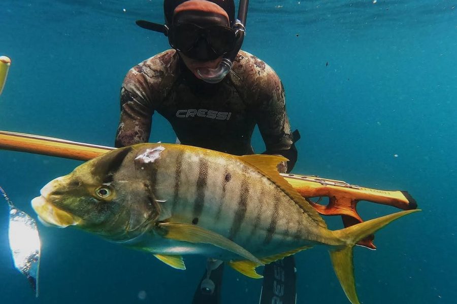 Spearfishing freedive tour in Banderas Bay, Puerto Vallarta