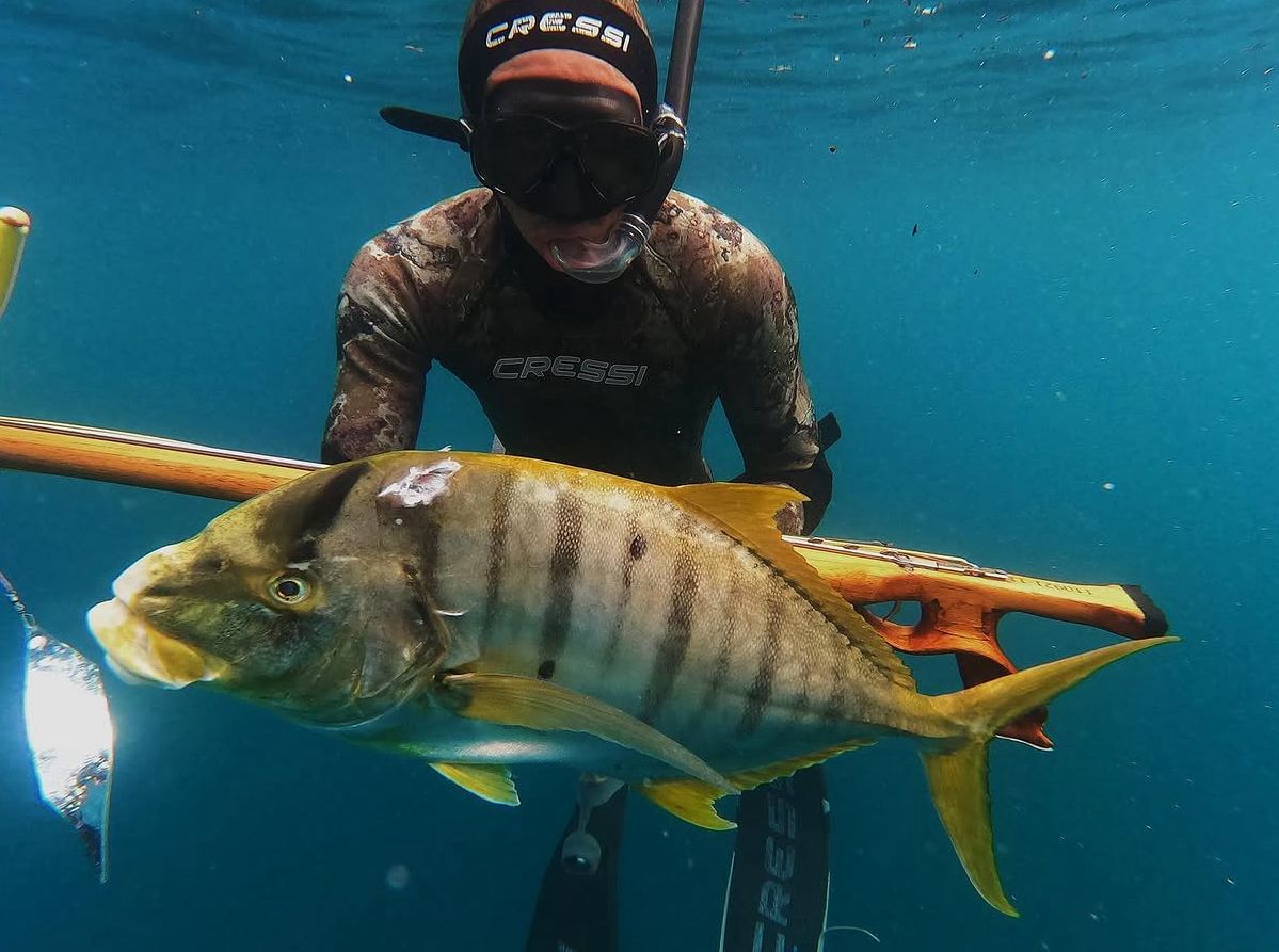 Spearfishing Activity Program
