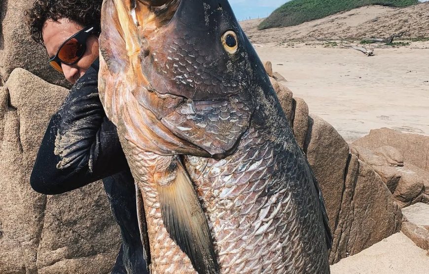 Private Spearfishing Trip