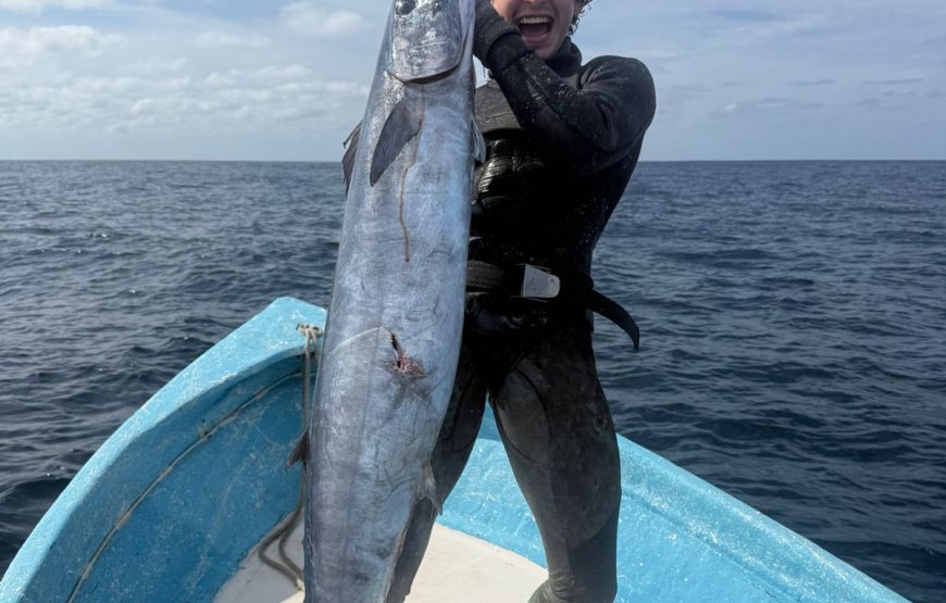 Private Spearfishing Trip