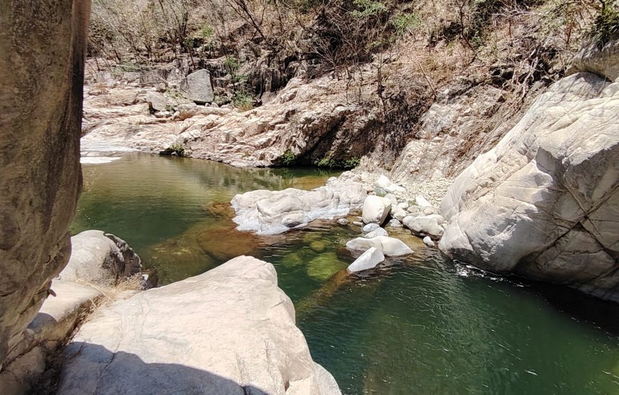 Jungle Waterfall Hike